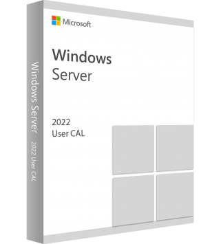 Microsoft Windows Server 2022 Standard/Datacenter Edition 5 User CAL (R18-06468)