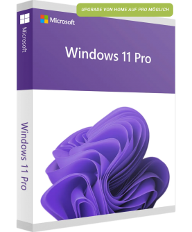 Microsoft Windows 11 Professional mit Upgrade von Windows 11 Home Deutsch/Multilingual (Dauerlizenz, Retail) (FQC-10572)