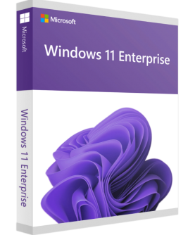 Microsoft Windows 11 Enterprise LTSC 2024 Upgrade (NCE COM BAS PER 1TM) Deutsch/Multilingual