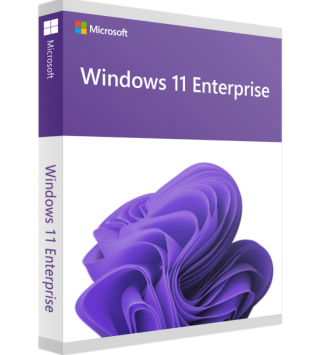 Microsoft Windows 11 Enterprise LTSC 2024 Upgrade (NCE COM BAS PER 1TM) Deutsch/Multilingual