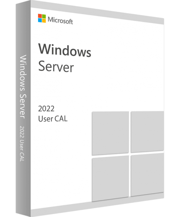 Microsoft Windows Server 2022 Standard/Datacenter Edition 1 User CAL (R18-06391)