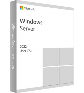 Microsoft Windows Server 2022 Standard/Datacenter Edition 1 User CAL (R18-06391)