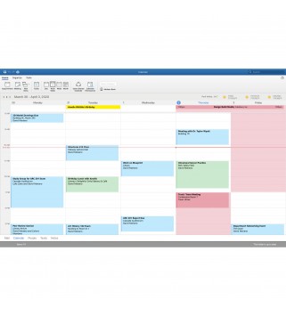 Microsoft Office 2024 Home and Business für Windows/Mac Deutsch/Multilingual (EP2-06606) (Dauerlizenz, kein Abo)