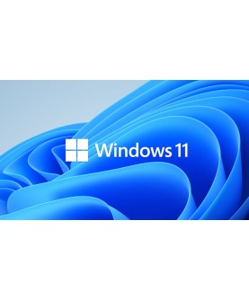 Microsoft Windows 11 Home Deutsch/Multilingual (Dauerlizenz) (KW9-00664) mit E&R Cashback