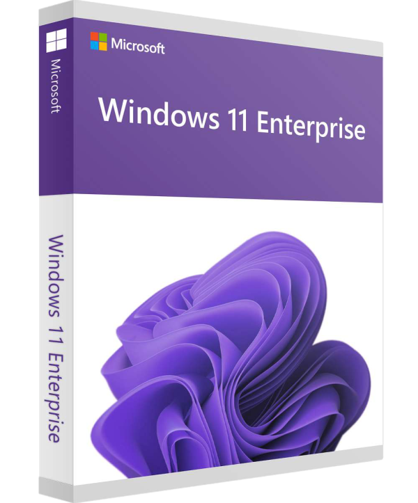 Microsoft Windows 11 Enterprise LTSC 2024 Deutsch/Multilingual (DG7GMGF0PP46:0002)
