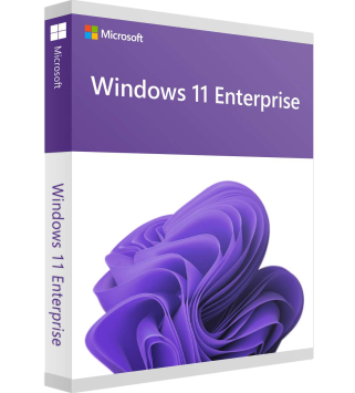 Microsoft Windows 11 Enterprise LTSC 2024 Deutsch/Multilingual (DG7GMGF0PP46:0002)