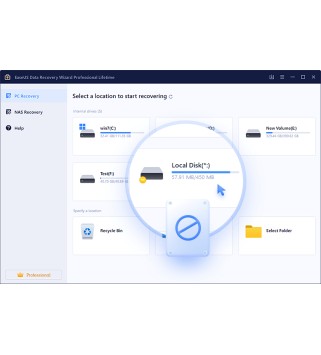 EaseUS Data Recovery Wizard Professional 1 PC Deutsch/Multilingual (Dauerlizenz, aktuelle Jahresversion) (SNDRWP50)