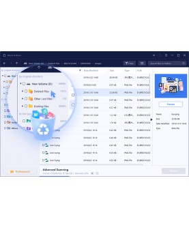 EaseUS Data Recovery Wizard Professional 1 PC Deutsch/Multilingual (Dauerlizenz, aktuelle Jahresversion) (SNDRWP50)