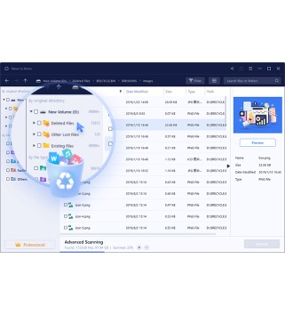 EaseUS Data Recovery Wizard Professional 1 PC Deutsch/Multilingual (Dauerlizenz, aktuelle Jahresversion) (SNDRWP50)
