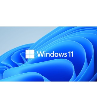 Microsoft Windows 11 Professional inkl. Upgrade von Windows 11 Home Deutsch/Multilingual
