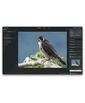 Skylum Luminar NEO MAX 1 User 2 Geräte für PC/Mac Deutsch/Multilingual (Dauerlizenz, aktuelle Vollversion) (LUMINAR-NEO-MAX)