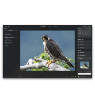 Skylum Luminar NEO MAX 1 User 2 Geräte für PC/Mac Deutsch/Multilingual (Dauerlizenz, aktuelle Vollversion) (LUMINAR-NEO-MAX)