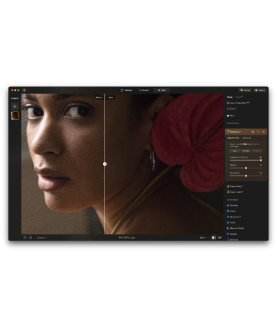 Skylum Luminar NEO MAX 1 User 2 Geräte für PC/Mac Deutsch/Multilingual (Dauerlizenz, aktuelle Vollversion) (LUMINAR-NEO-MAX)