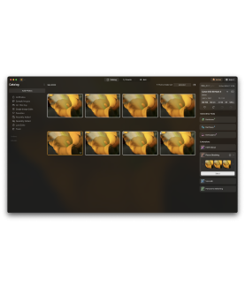 Skylum Luminar NEO MAX 2026 1 User 2 Geräte + 3 Mobilgeräte für PC/Mac Deutsch (Dauerlizenz, Vollversion) (LUMINAR-NEO-MAX)