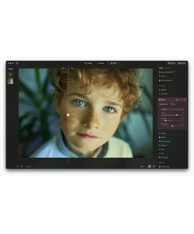 Skylum Luminar NEO 2026 1 User 2 Geräte für PC/Mac Deutsch/Multilingual (Dauerlizenz, aktuelle Vollversion) (LU-NEO-DU-DAR-D)