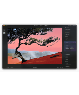 Skylum Luminar NEO 2026 1 User 2 Geräte für PC/Mac Deutsch/Multilingual (Dauerlizenz, aktuelle Vollversion) (LU-NEO-DU-DAR-D)