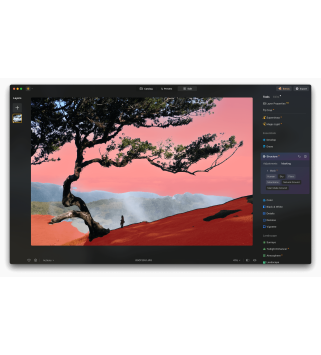 Skylum Luminar NEO 2026 1 User 2 Geräte für PC/Mac Deutsch/Multilingual (Dauerlizenz, aktuelle Vollversion) (LU-NEO-DU-DAR-D)