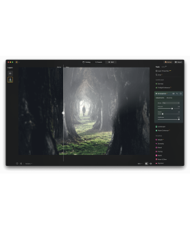 Skylum Luminar NEO 2026 1 User 2 Geräte für PC/Mac Deutsch/Multilingual (Dauerlizenz, aktuelle Vollversion) (LU-NEO-DU-DAR-D)