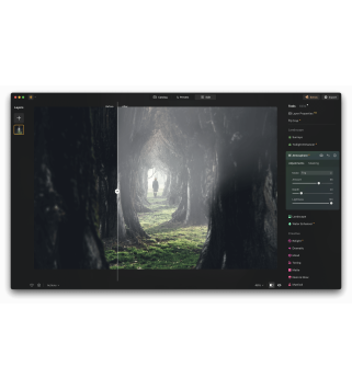 Skylum Luminar NEO 2026 1 User 2 Geräte für PC/Mac Deutsch/Multilingual (Dauerlizenz, aktuelle Vollversion) (LU-NEO-DU-DAR-D)