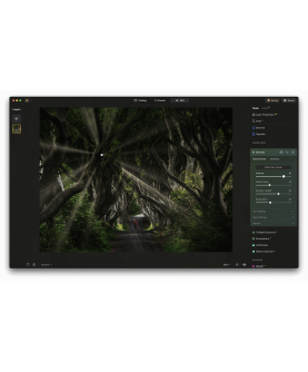Skylum Luminar NEO 2026 1 User 2 Geräte für PC/Mac Deutsch/Multilingual (Dauerlizenz, aktuelle Vollversion) (LU-NEO-DU-DAR-D)