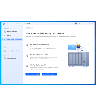 EaseUS Data Recovery Wizard 2026 Professional 1 PC Deutsch/Multilingual (Dauerlizenz, aktuelle Vollversion) (SNDRWP50)