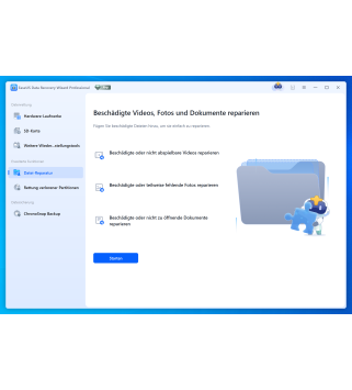 EaseUS Data Recovery Wizard 2026 Professional 1 PC Deutsch/Multilingual (Dauerlizenz, aktuelle Vollversion) (SNDRWP50)