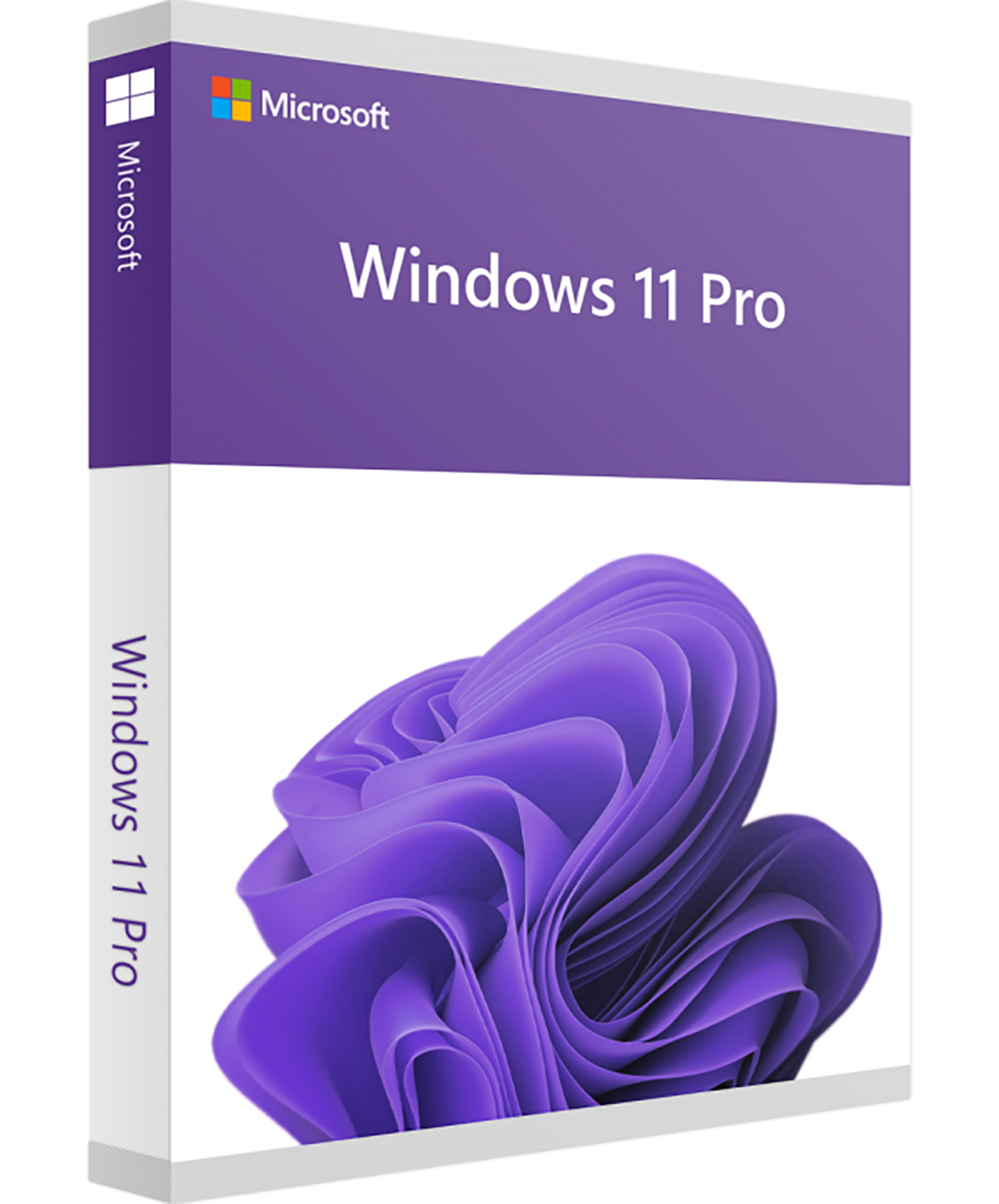 Microsoft Windows 11 Professional Deutsch/Multilingual (Dauerlizenz) (FQC-10572) mit E&R Cashback