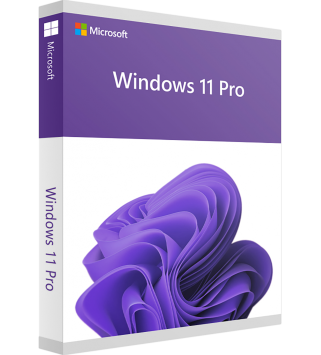 Microsoft Windows 11 Professional Deutsch/Multilingual (Dauerlizenz) (FQC-10572) mit E&R Cashback