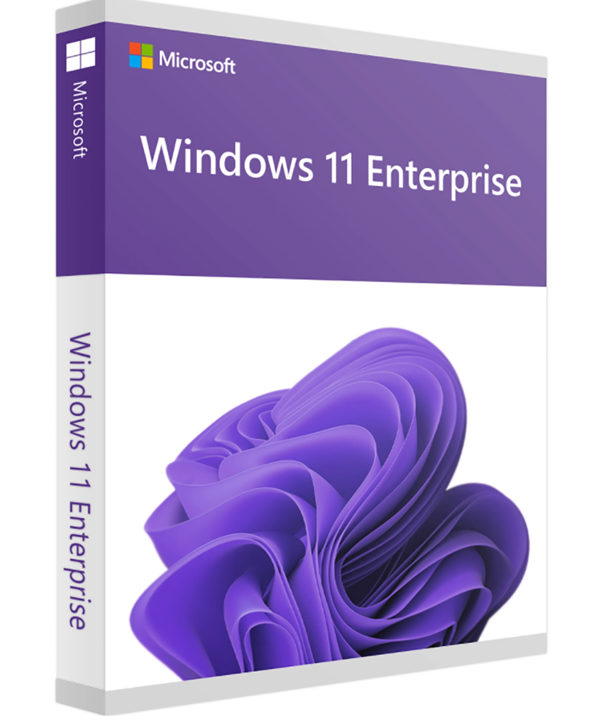 Microsoft Windows 11 Enterprise LTSC 2024 Upgrade (NCE COM BAS PER 1TM) Deutsch/Multilingual mit E&R Cashback