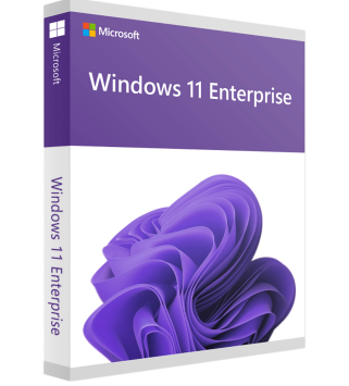 Microsoft Windows 11 Enterprise LTSC 2024 Upgrade (NCE COM BAS PER 1TM) Deutsch/Multilingual mit E&R Cashback