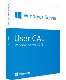 Microsoft Windows Server 2016 Standard/Datacenter Edition 1 User CAL (OEM)
