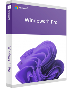 Microsoft Windows 11 Professional Deutsch/Multilingual