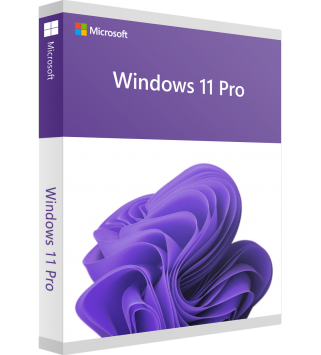 Microsoft Windows 11 Professional Deutsch/Multilingual (Dauerlizenz, Retail) (FQC-10572) mit E&R Cashback